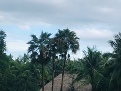 -三亚湾海居铂尔曼度假酒店