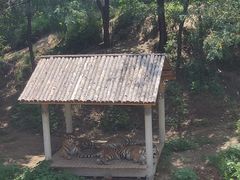 -石家庄市动物园