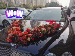 点击看大图 -蚂蚁婚车