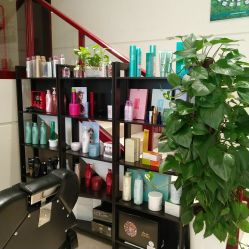 -Hello Lady发型设计