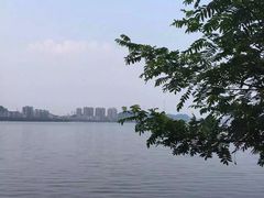 -团城山公园