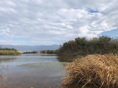 -西昌邛海湿地