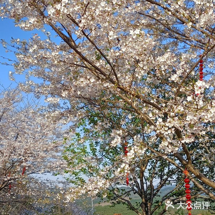 趁着蓝天去就对了