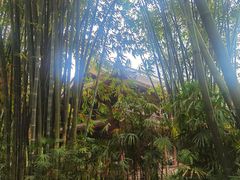 -望江楼公园