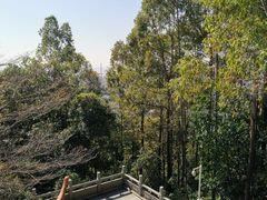 -龙头山森林公园·停车场