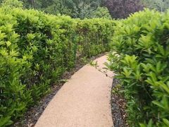 -昆山城市生态森林公园