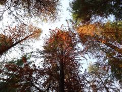 -艾溪湖湿地公园