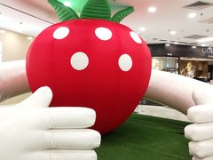 -凯德MALL(望京店)