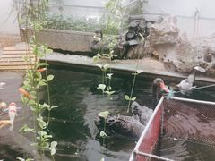 -湖鲜楼
