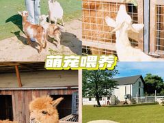 -栖露营camping·天幕烧烤·团建拓展·采摘营地