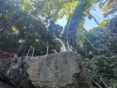 -七仙岭温泉国家森林公园