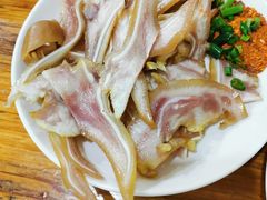 -东吴霸王兔(松青路店)