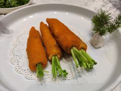 -丁老爷子苏香圆