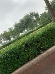-HEYAN长风荷妍专业脱毛美肤
