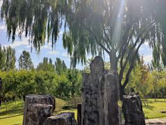 -伊犁河景区