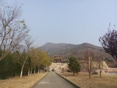 -北京十三陵国家森林公园蟒山景区