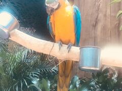 -杭州开元森泊度假乐园