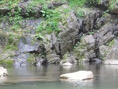 -石台牯牛降景区