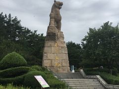 -帽儿山国家森林公园