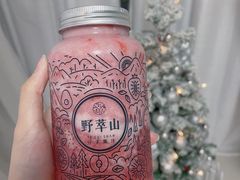 -野萃山·潮汕厚果汁(十亩地店)
