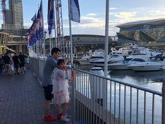 -I'm Angus Steakhouse