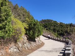 -府君山公园
