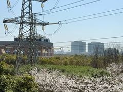 -外高桥保税区南(地铁站)