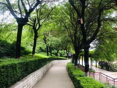 -西安汉城湖景区