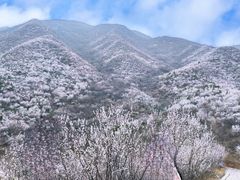 -北京凤凰岭