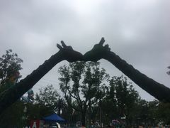 -苏州乐园森林水世界