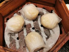-正斗·港式粤菜(SKLP店)