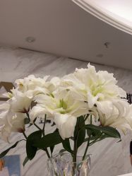 点击看大图 -深圳鹏爱秀琪医疗美容医院
