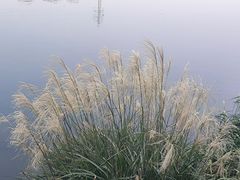 -重庆彩云湖湿地公园