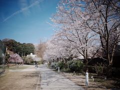 -金泽21世纪美术馆