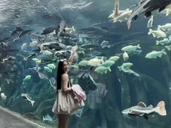 -波塞冬旅游度假区