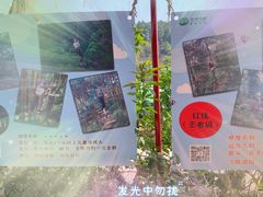 -芦仙山景区-飞越丛林探险乐园