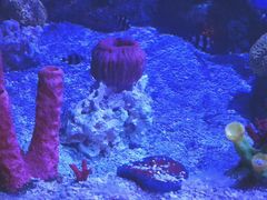 -沈阳海洋探索中心