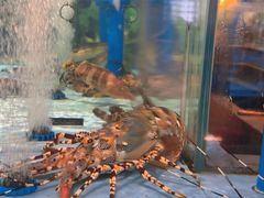 -阿伟海鲜楼·福建菜(延寿店)