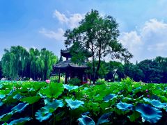 -莲池书院博物馆