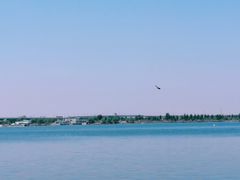 -丁香湖公园
