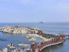 -养马岛旅游度假区