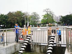 -飞来湖湿地公园