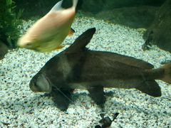 -常州海昌海洋探索馆