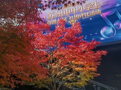 -白塘生态植物园