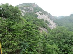 景点-朱雀国家森林公园