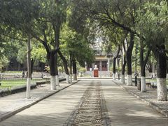 -山东大学(趵突泉校区)