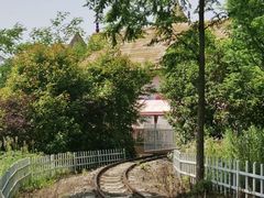 -东平国家森林公园
