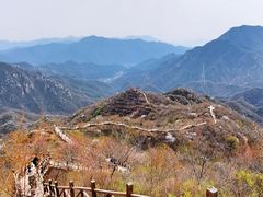 -大岭沟猕猴桃谷风景区