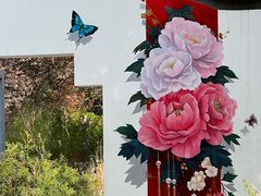 -西苑公园