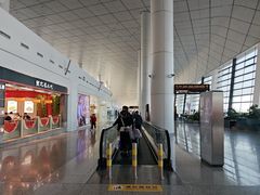 -郑州新郑国际机场-T2航站楼